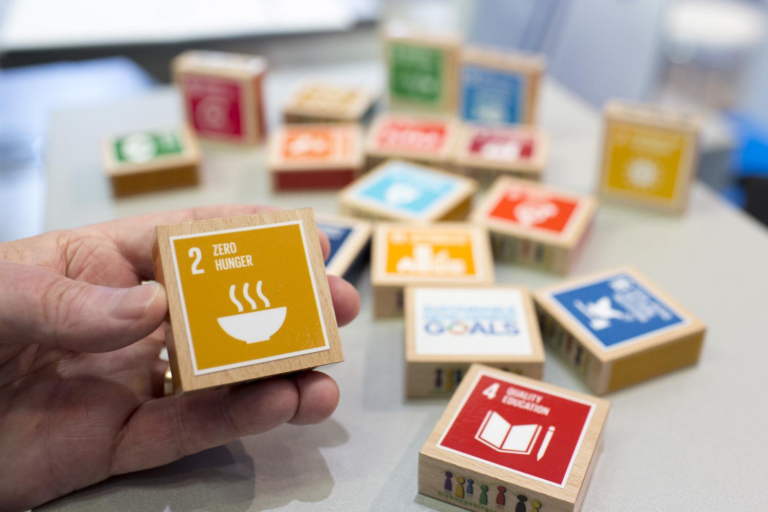 U.N. Sustainable Development Goals